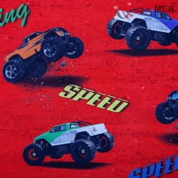 CARS-22605