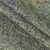 Monet-23250